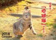 画像1: 地域猫カレンダー2018 (1)