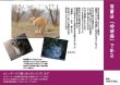 画像2: 地域猫カレンダー2019 (2)