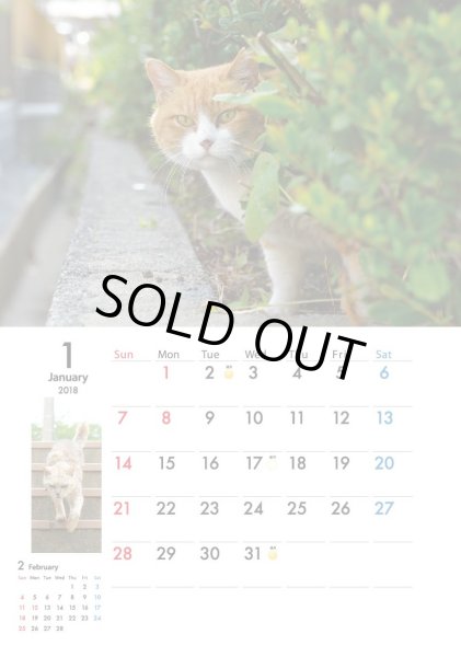 画像2: 地域猫カレンダー2018 (2)