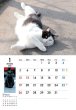 画像2: 地域猫カレンダー2020 (2)