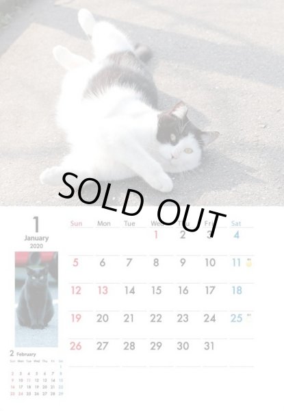 画像2: 地域猫カレンダー2020 (2)