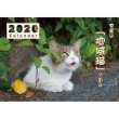 画像1: 地域猫カレンダー2020 (1)