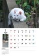 画像2: 地域猫カレンダー2017 (2)