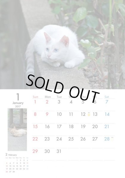 画像2: 地域猫カレンダー2017 (2)