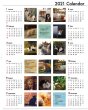 画像2: 地域猫カレンダー2021 (2)