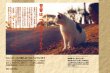 画像5: 地域猫カレンダー2021 (5)