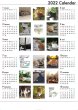 画像3: 地域猫カレンダー2022 (3)