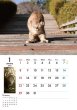 画像3: 地域猫カレンダー2023 (3)