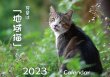 画像1: 地域猫カレンダー2023 (1)