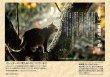 画像4: 地域猫カレンダー2023 (4)