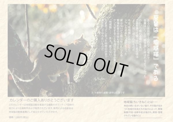 画像4: 地域猫カレンダー2023 (4)