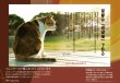画像4: 地域猫カレンダー2024 (4)