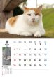 画像3: 地域猫カレンダー2024 (3)