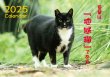 画像1: 地域猫カレンダー2025 (1)